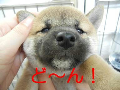 DSCN3136.JPG