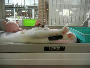 DSCN3695.JPG