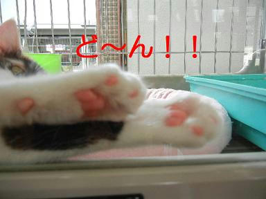 DSCN3700.JPG