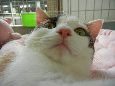 DSCN3706.JPG
