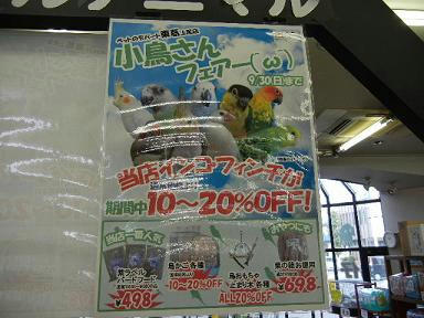 DSCN3795.JPG