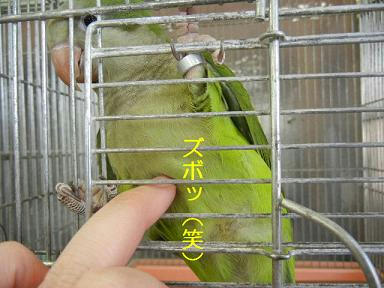 DSCN3755.JPG