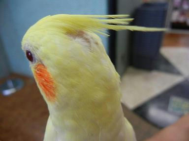 DSCN3787.JPG