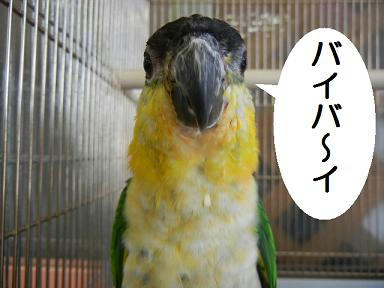 DSCN3768.JPG