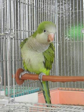 DSCN3895.JPG
