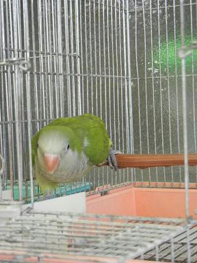 DSCN3896.JPG