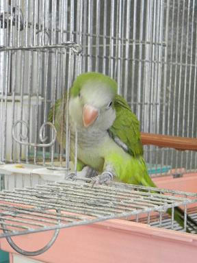 DSCN3902.JPG