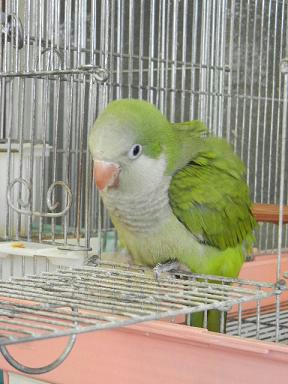 DSCN3903.JPG