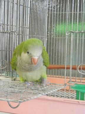 DSCN3906.JPG
