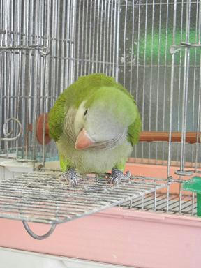 DSCN3907.JPG