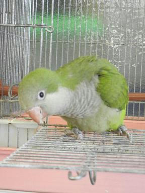 DSCN3908.JPG