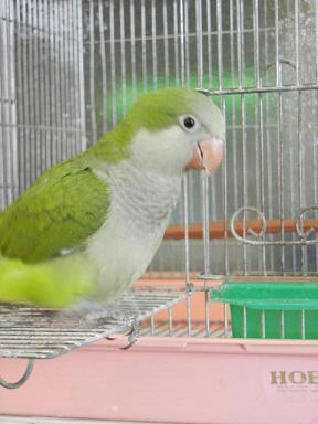 DSCN3910.JPG