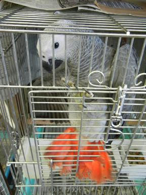 DSCN3927.JPG