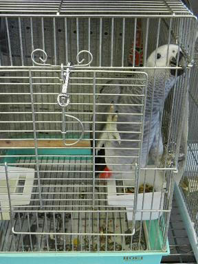 DSCN3931.JPG