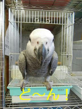 DSCN3938.JPG