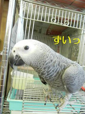 DSCN3937.JPG