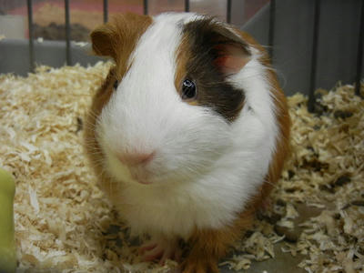 DSCN3972.JPG
