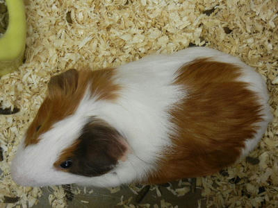 DSCN3973.JPG