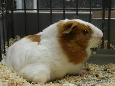 DSCN3975.JPG