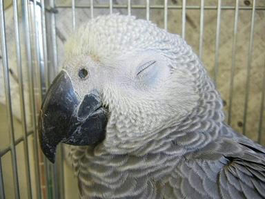 DSCN4178.JPG