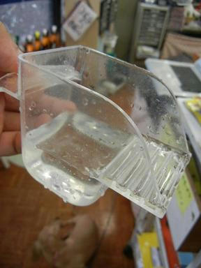 DSCN4230.JPG