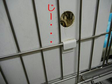 DSCN4289.JPG