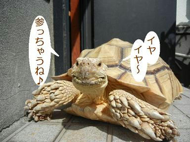 DSCN4207.JPG