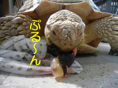 DSCN3866.JPG