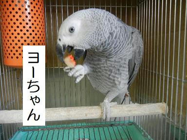 DSCN8807.JPG