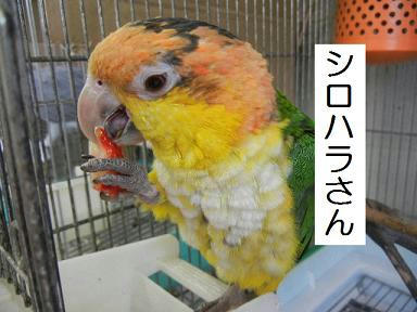 DSCN8781.JPG
