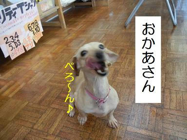 DSCN8815.JPG