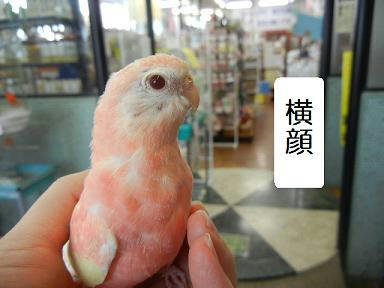 DSCN8884.JPG