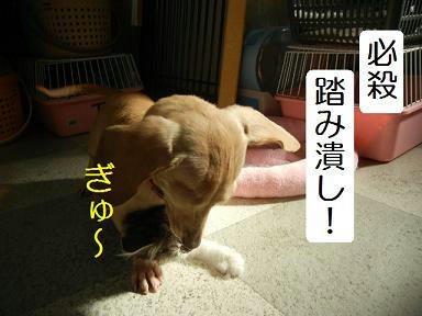DSCN9088.JPG