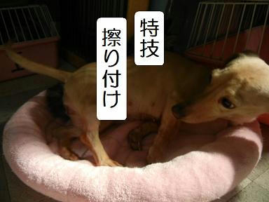 DSCN9087.JPG