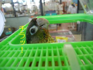 DSCN9099.JPG