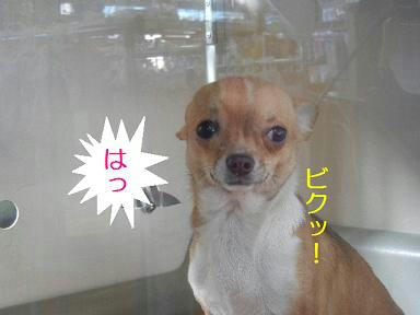 DSCN9179.JPG