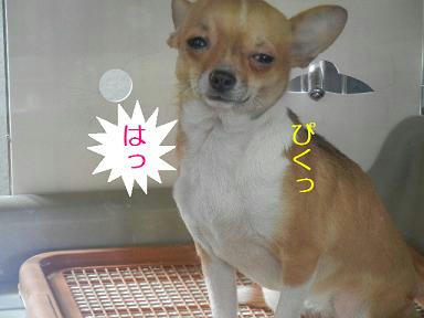 DSCN9197.JPG