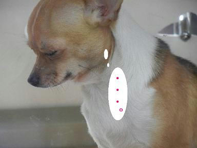 DSCN9205.JPG
