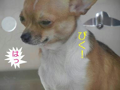 DSCN9204.JPG