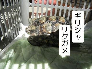 DSCN9266.JPG