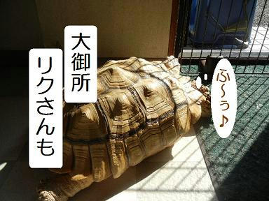 DSCN9308.JPG