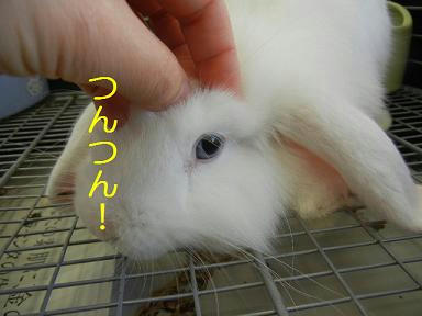 DSCN9274.JPG