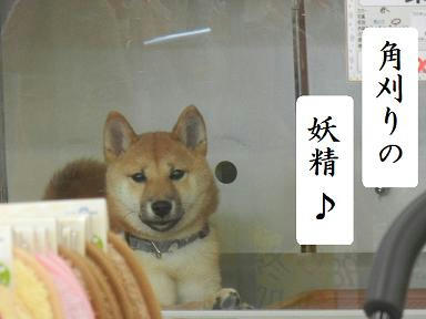 DSCN9380.JPG