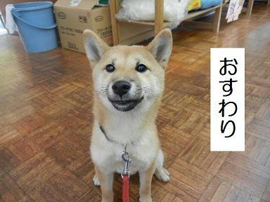 DSCN9341.JPG