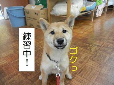DSCN9344.JPG