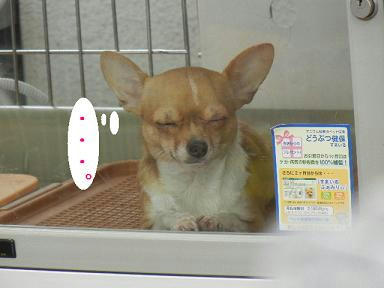 DSCN9393.JPG