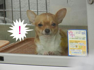 DSCN9390.JPG