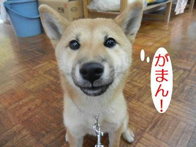 DSCN9347.JPG