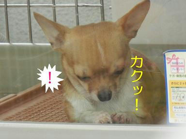 DSCN9405.JPG