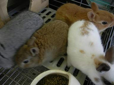 DSCN9517.JPG